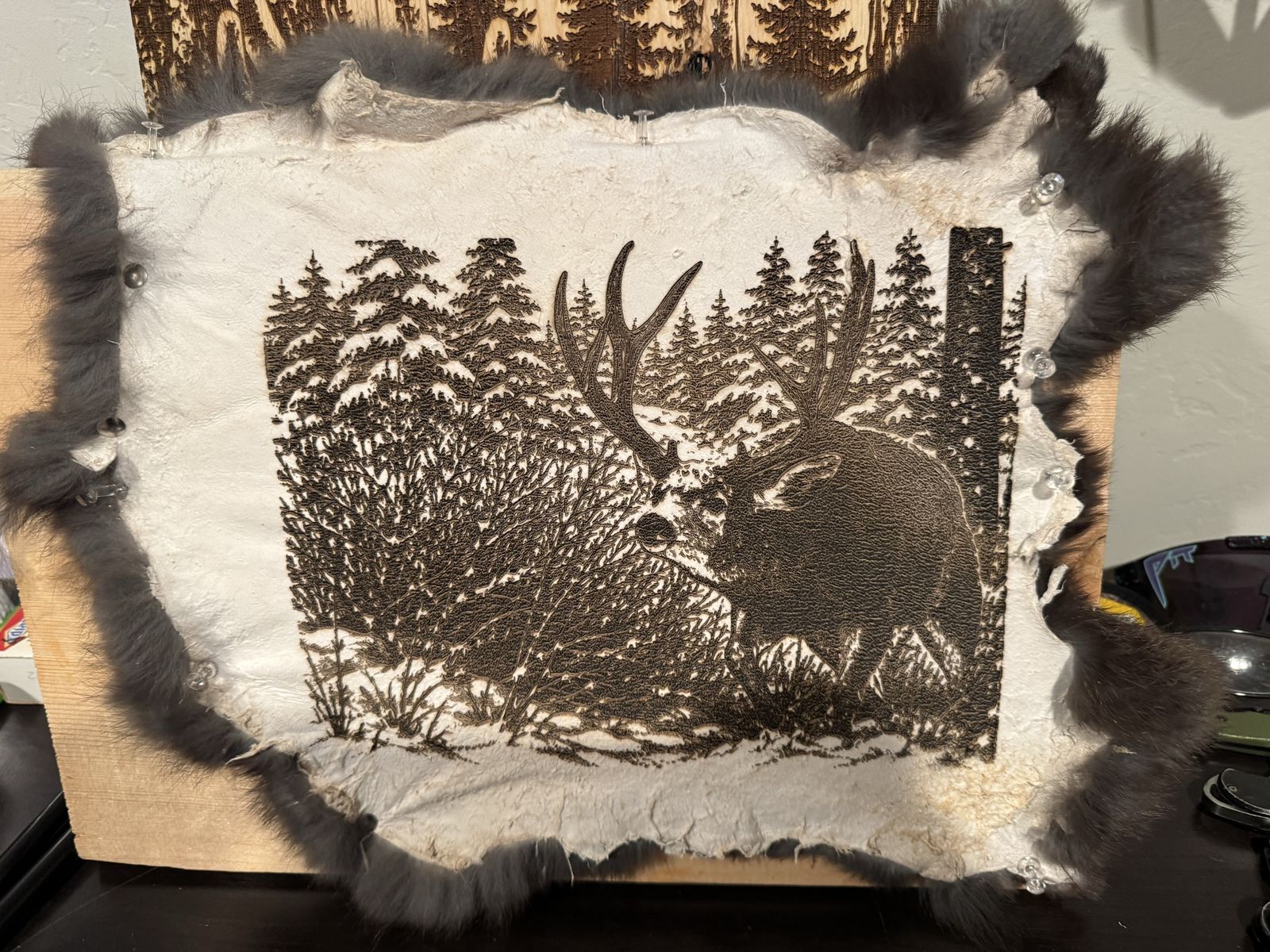 Outdoor art, engraved pelts
