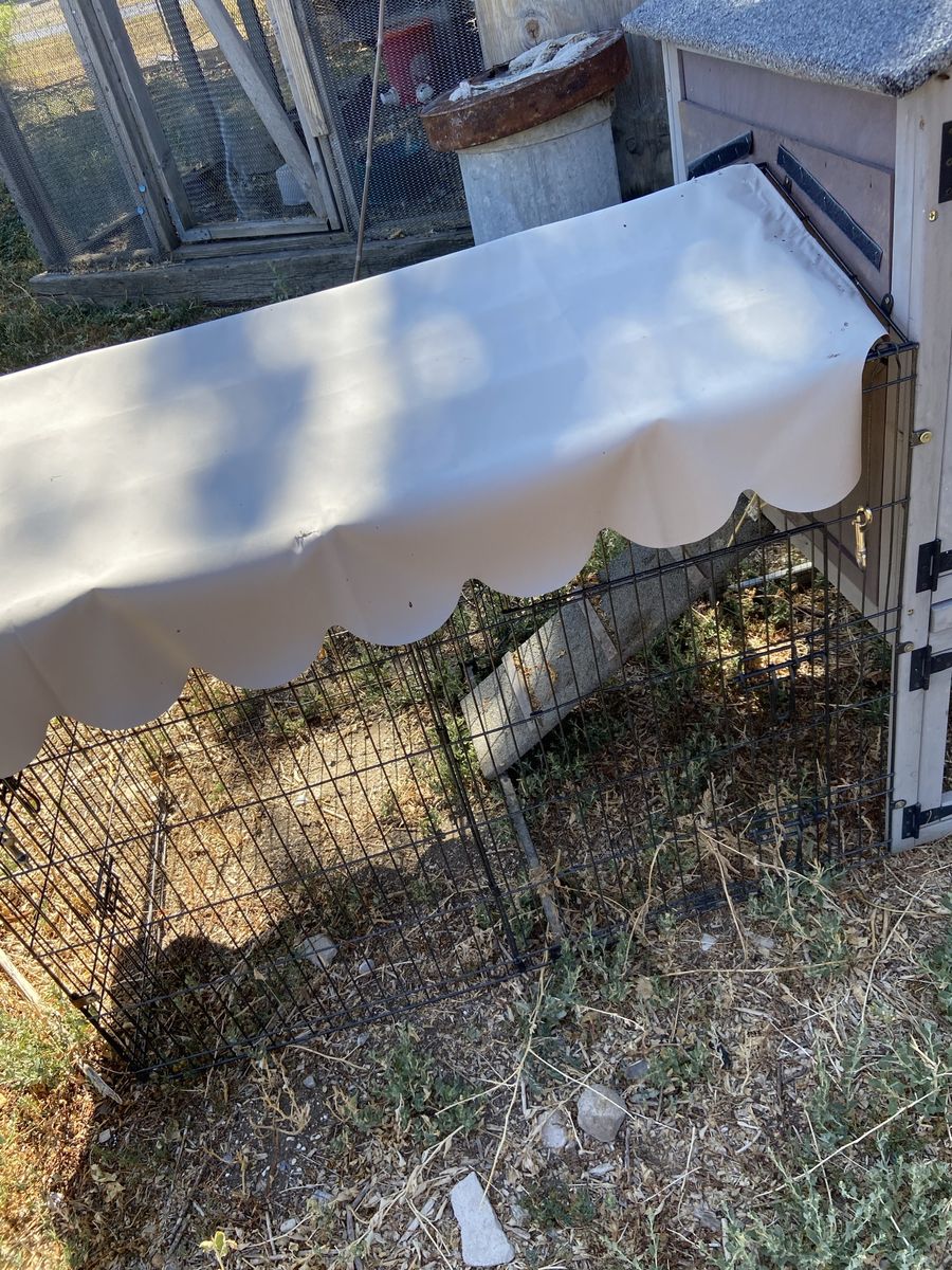 Chicken coop
