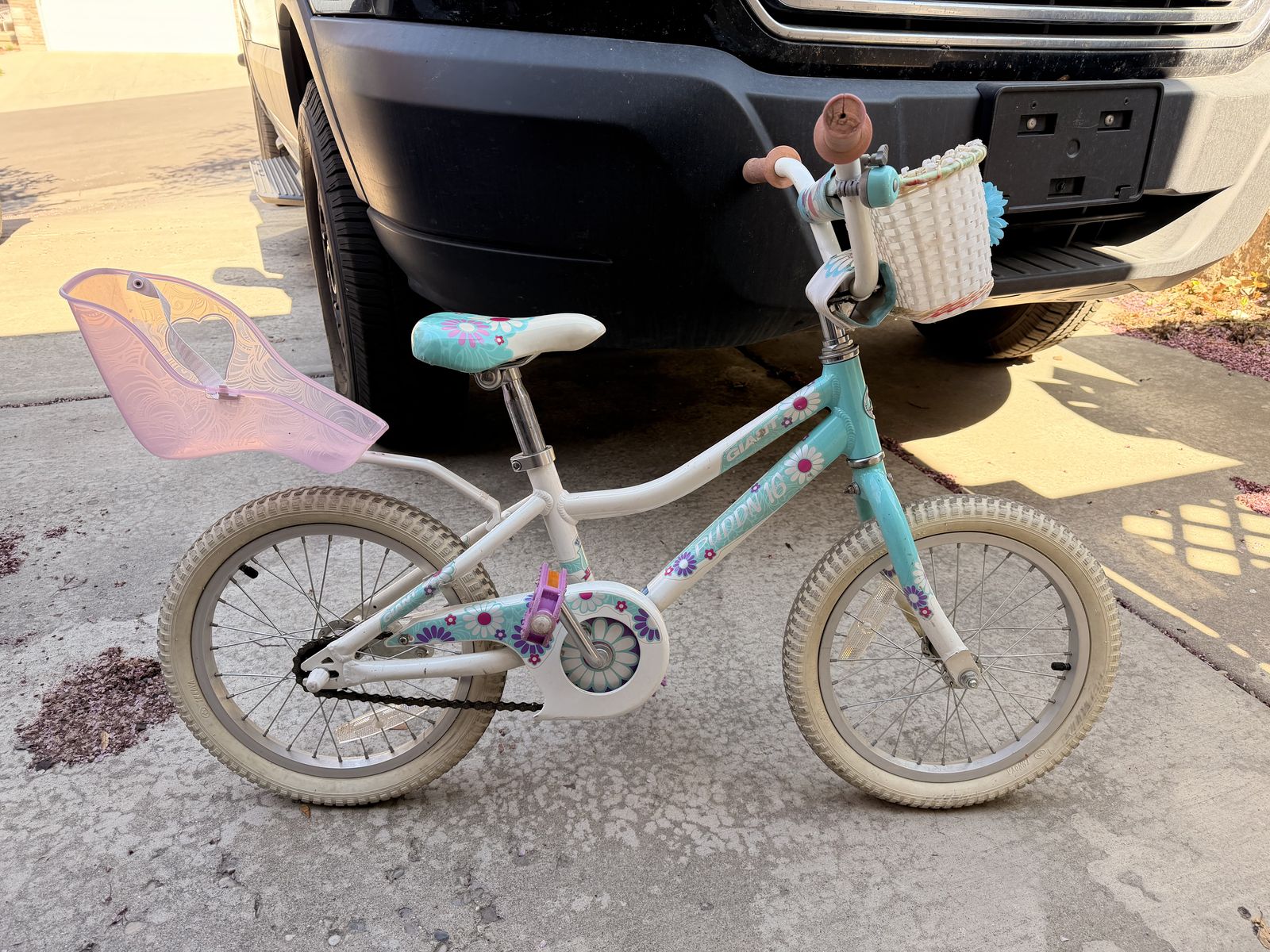 Little Girls Bike Giant