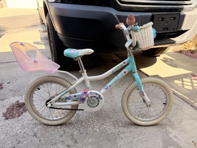 Little Girls Bike Giant