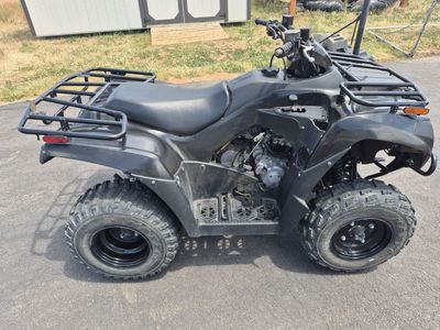 Kawasaki Brute Force 300
