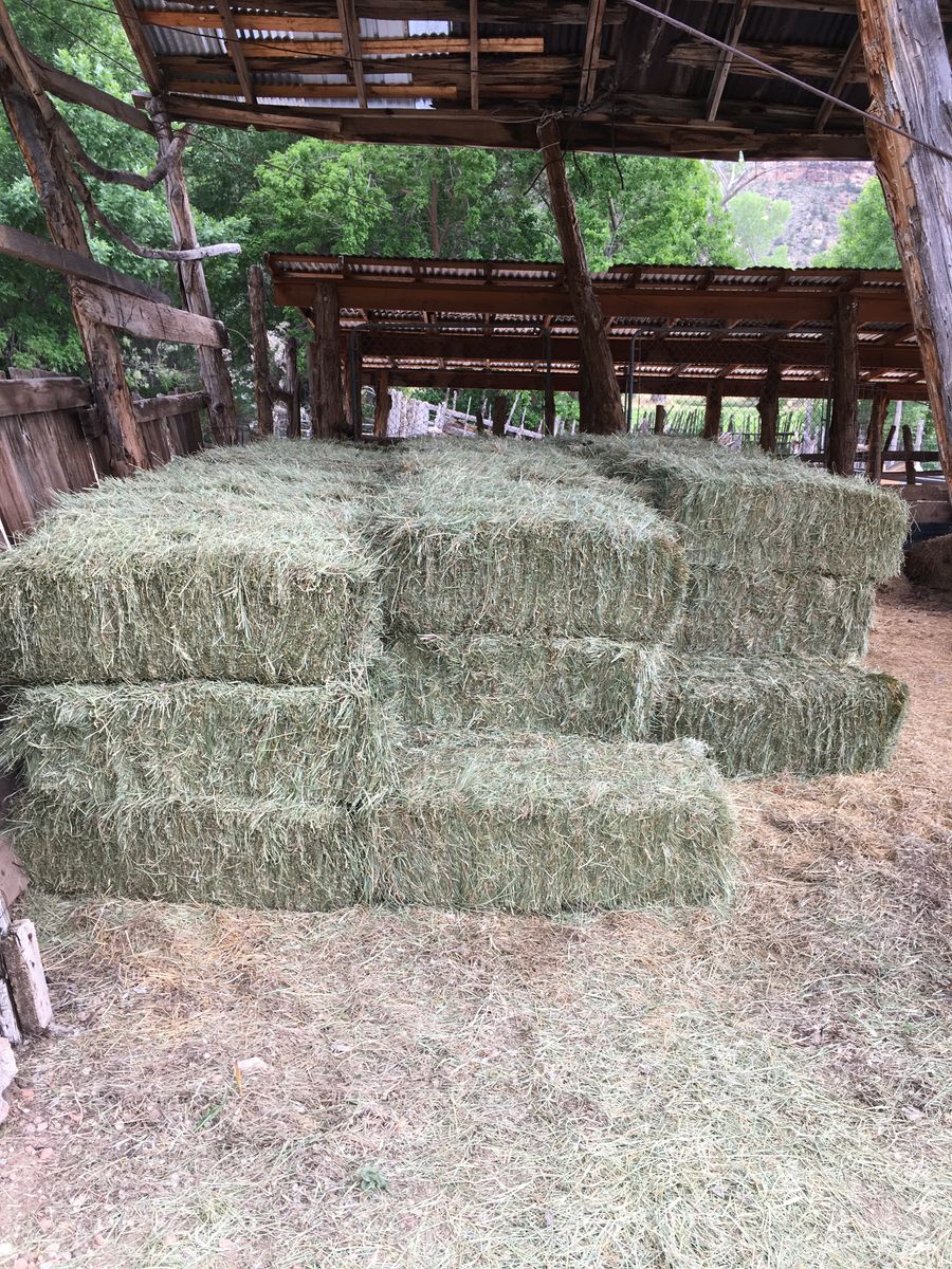 GRASS HAY FOR SALE