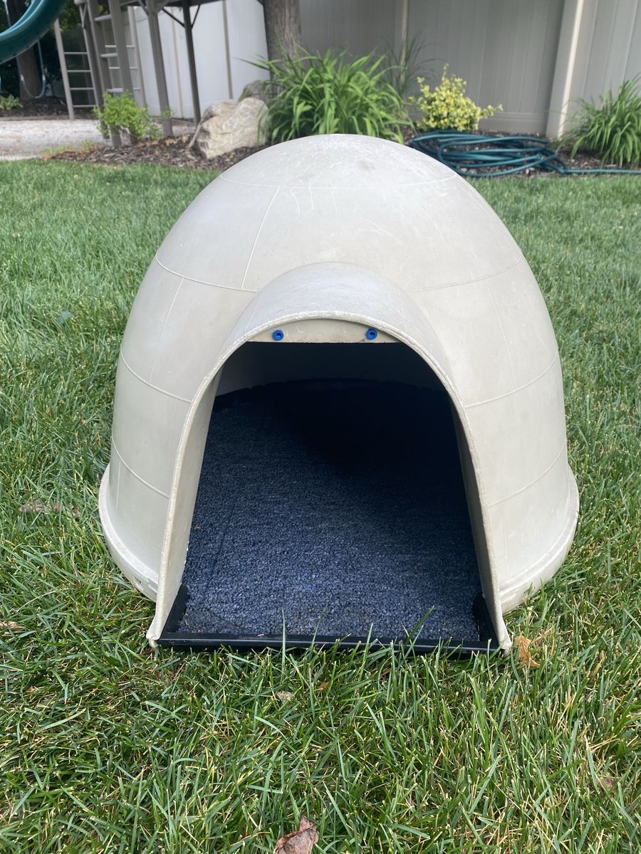 Cat or Dog House