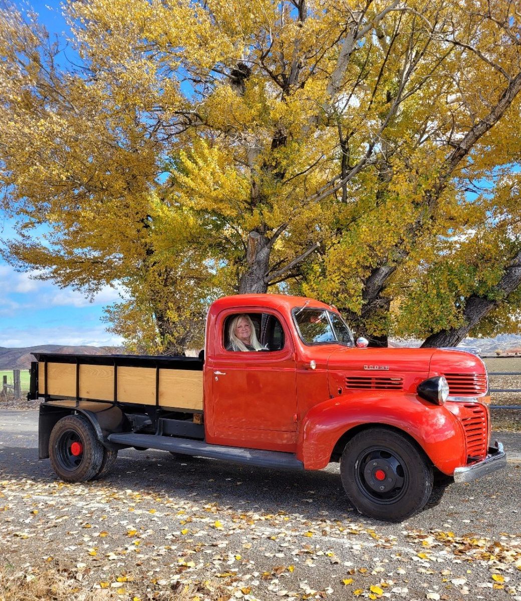 1947 Dodge