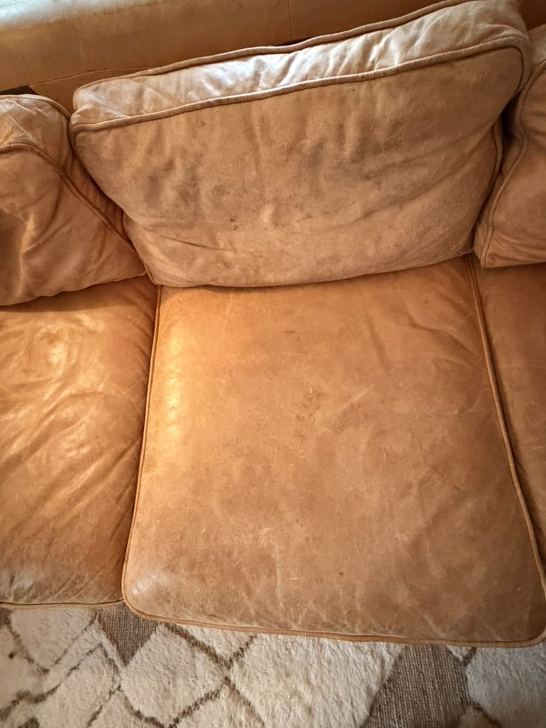 Main image 6