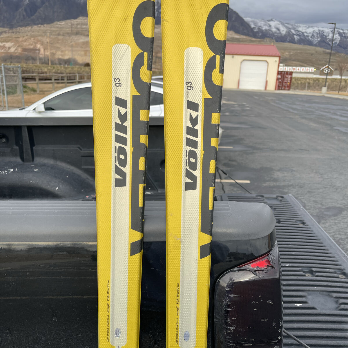 Volkl Skis