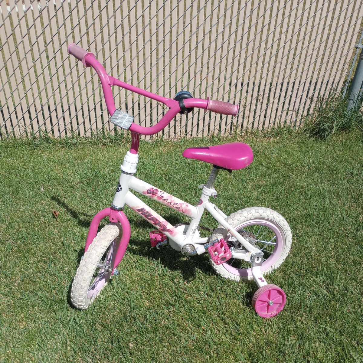 Toddler Bike