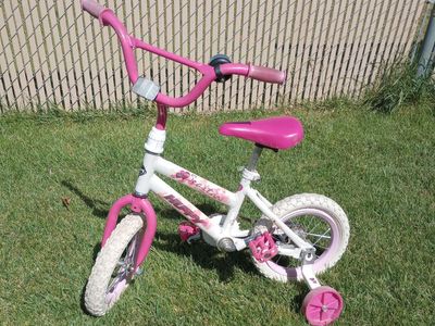 Toddler Bike