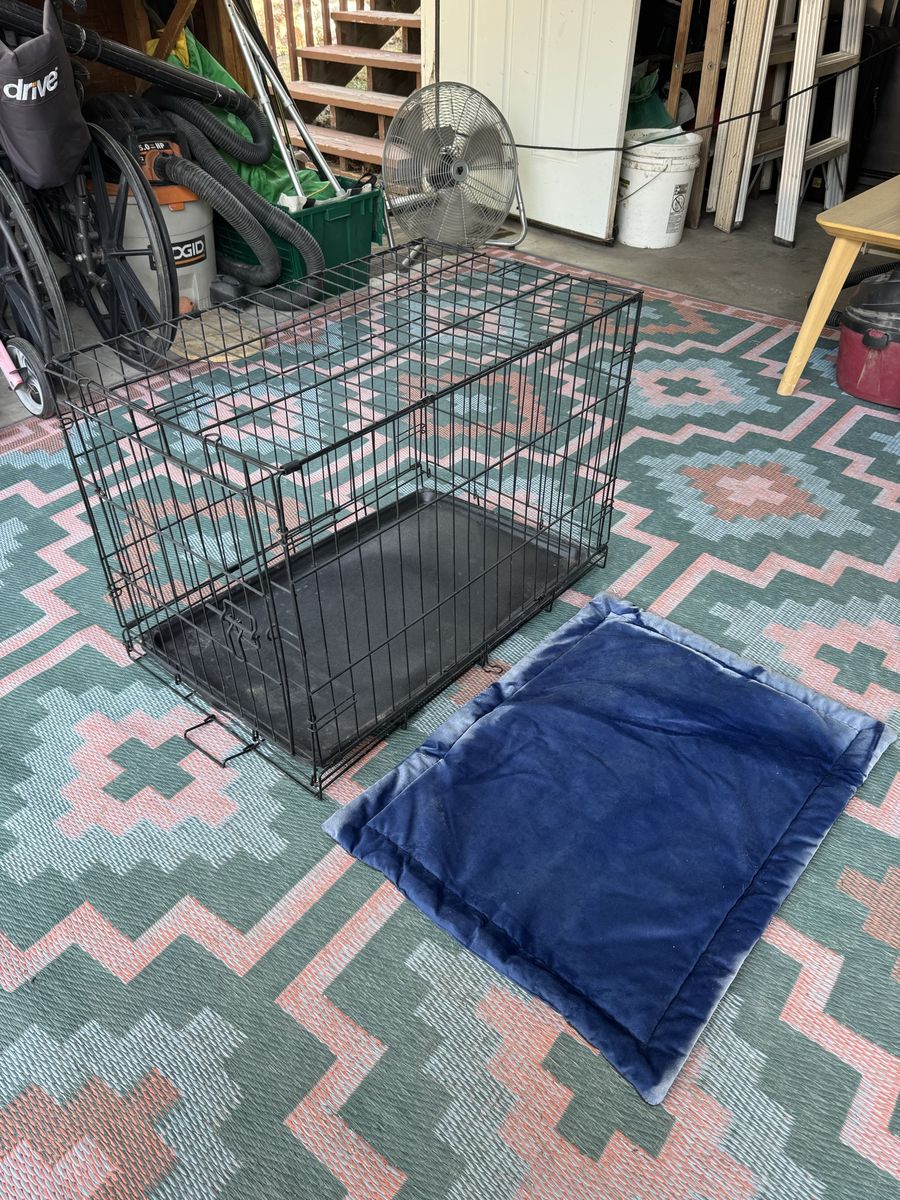 Collapsible Dog Crate with Removable Tray and Blue Cushion Pad