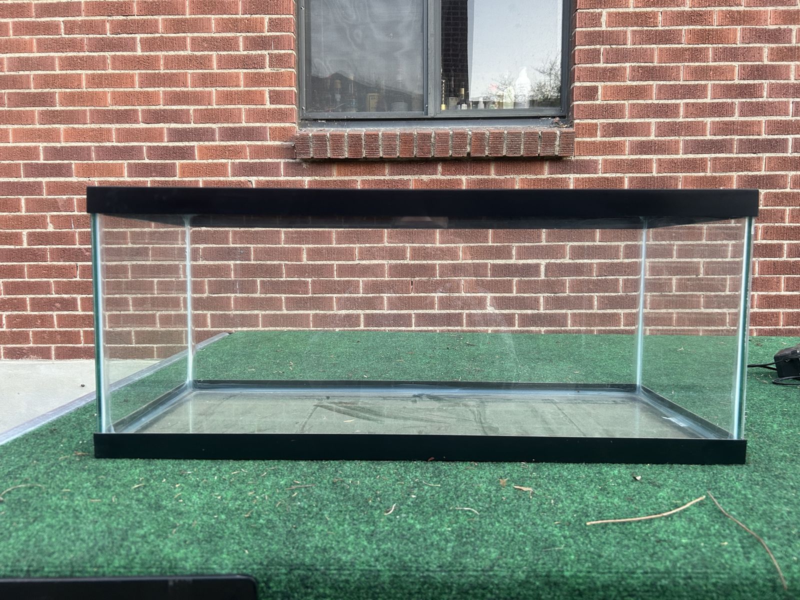 20 gallon long aquarium