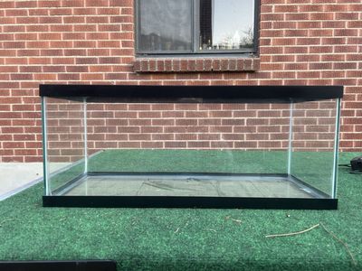 20 gallon long aquarium