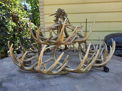 Large Faux Antler Chandelier