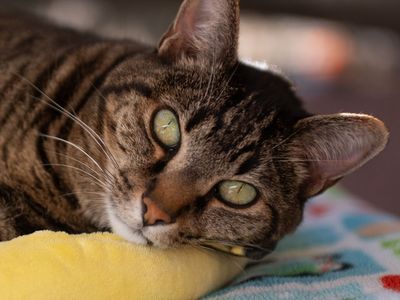 Hello my name is Natalie