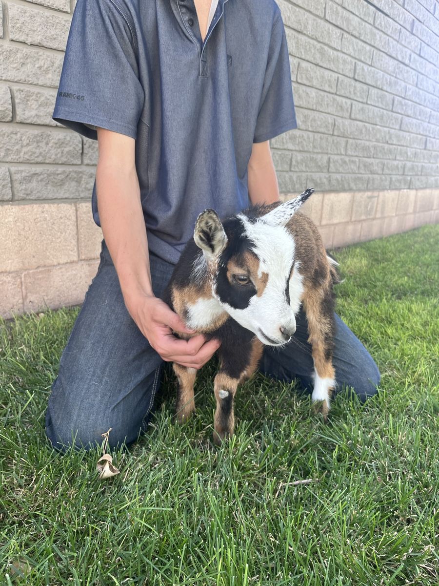 Looking for her new family