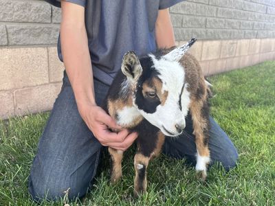 Looking for her new family