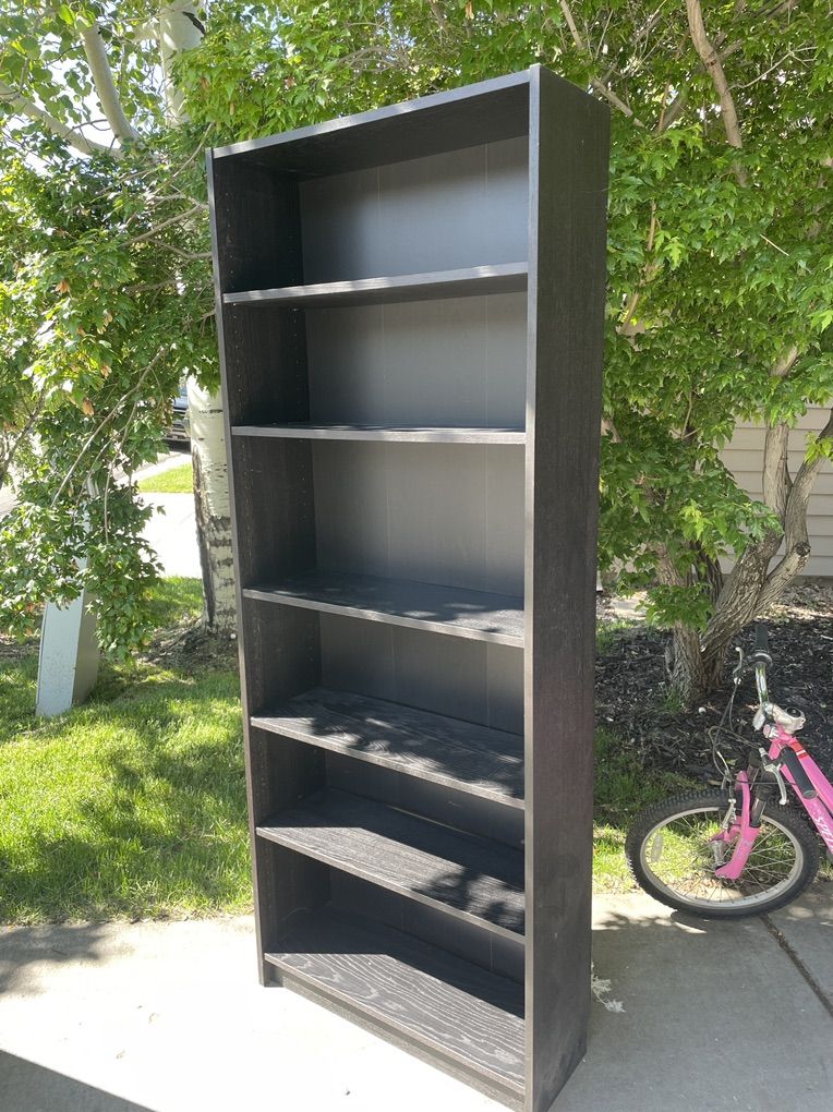 Tall IKEA Bookshelf Bookcase