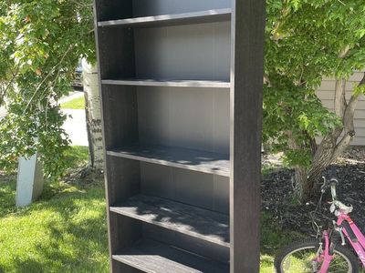 Tall IKEA Bookshelf Bookcase