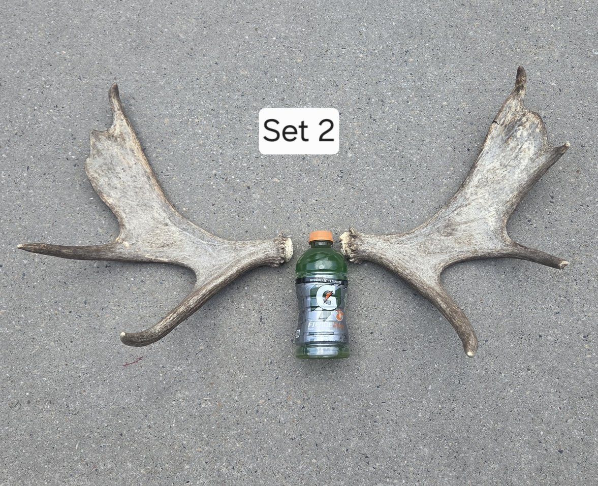 Main image 3
