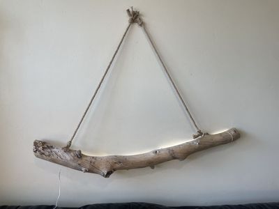 Driftwood light fixture