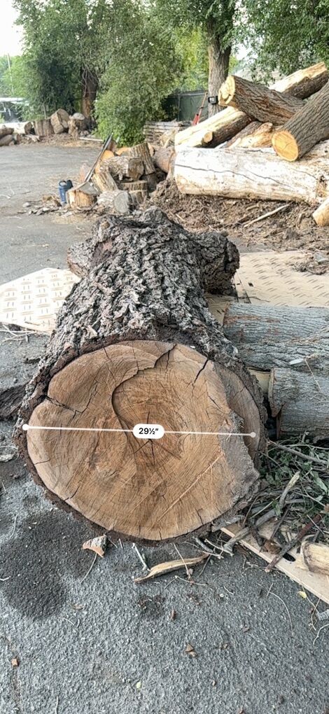 Premium Logs For Sale – Only the Best of the Best