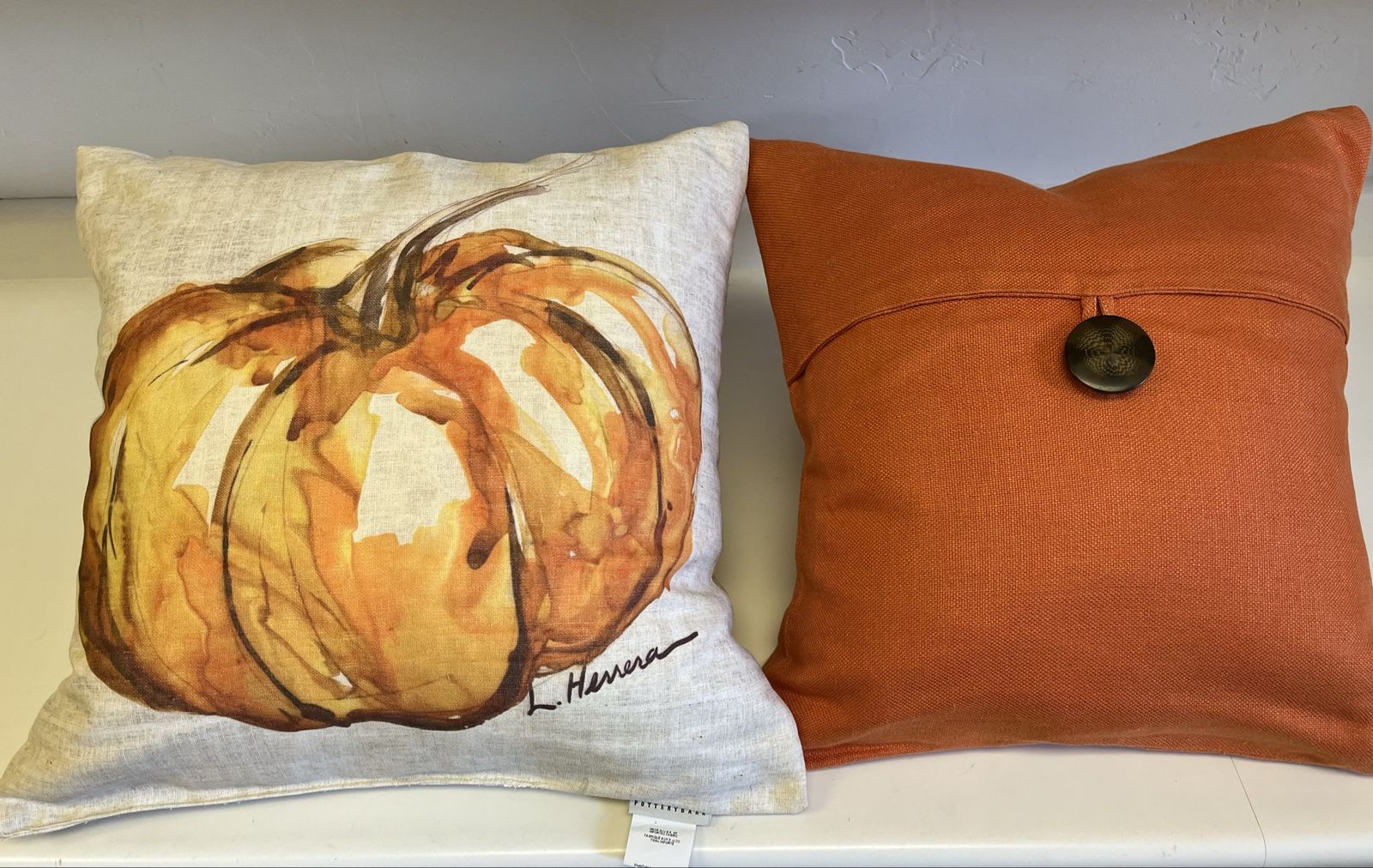 Pottery Barn Fall/Autumn Pumpkin Pillow Covers w/ inserts. 