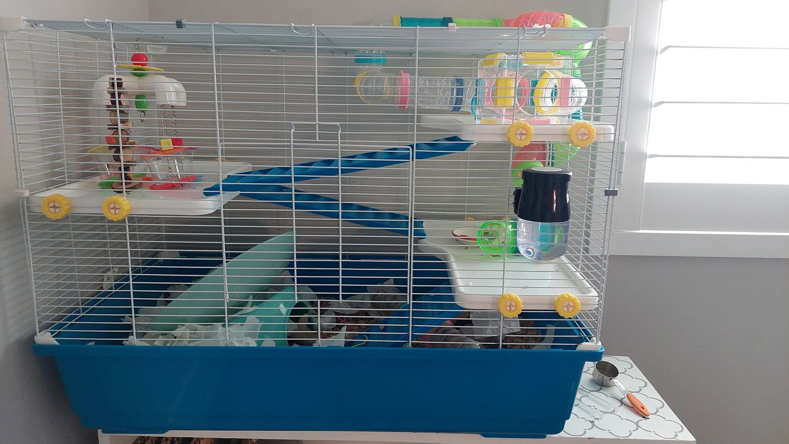 Hamster Cage and Enrichment