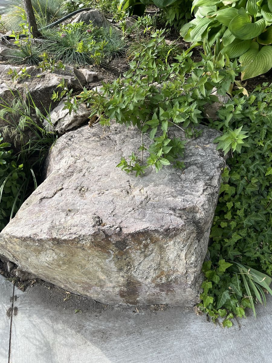 Main image 3