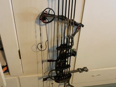 Hoyt bow