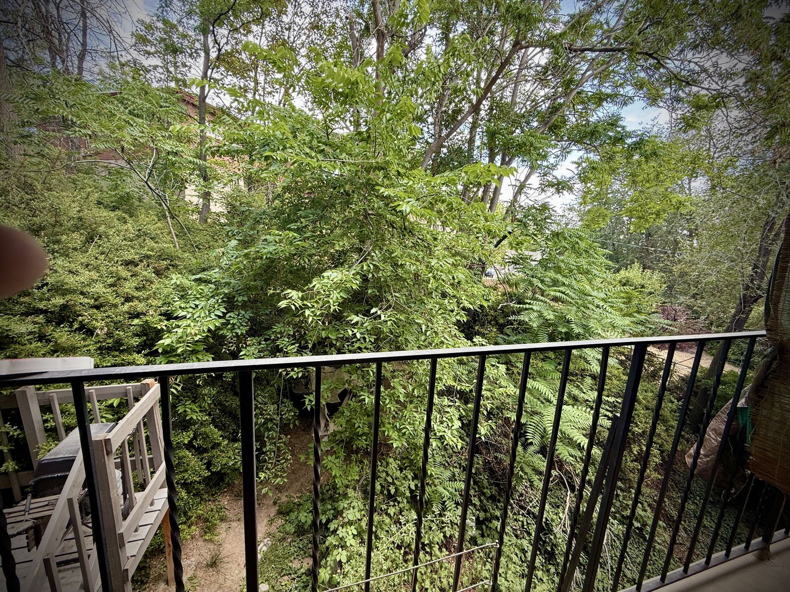 Main image 6