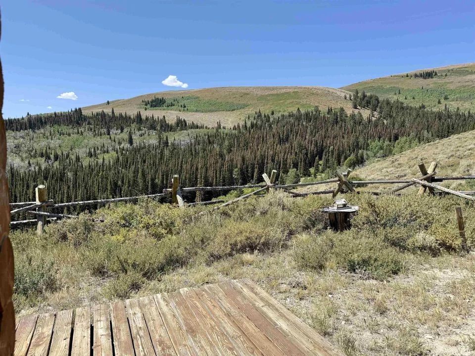 Main image 12