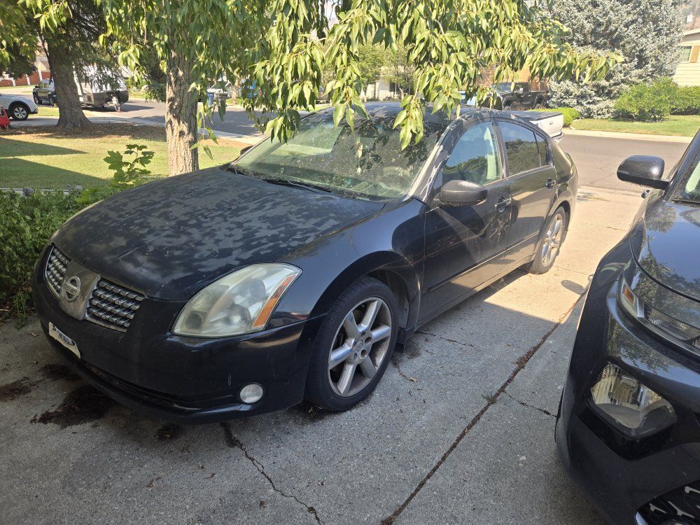 2006 Nissan Maxima 3.5 SE