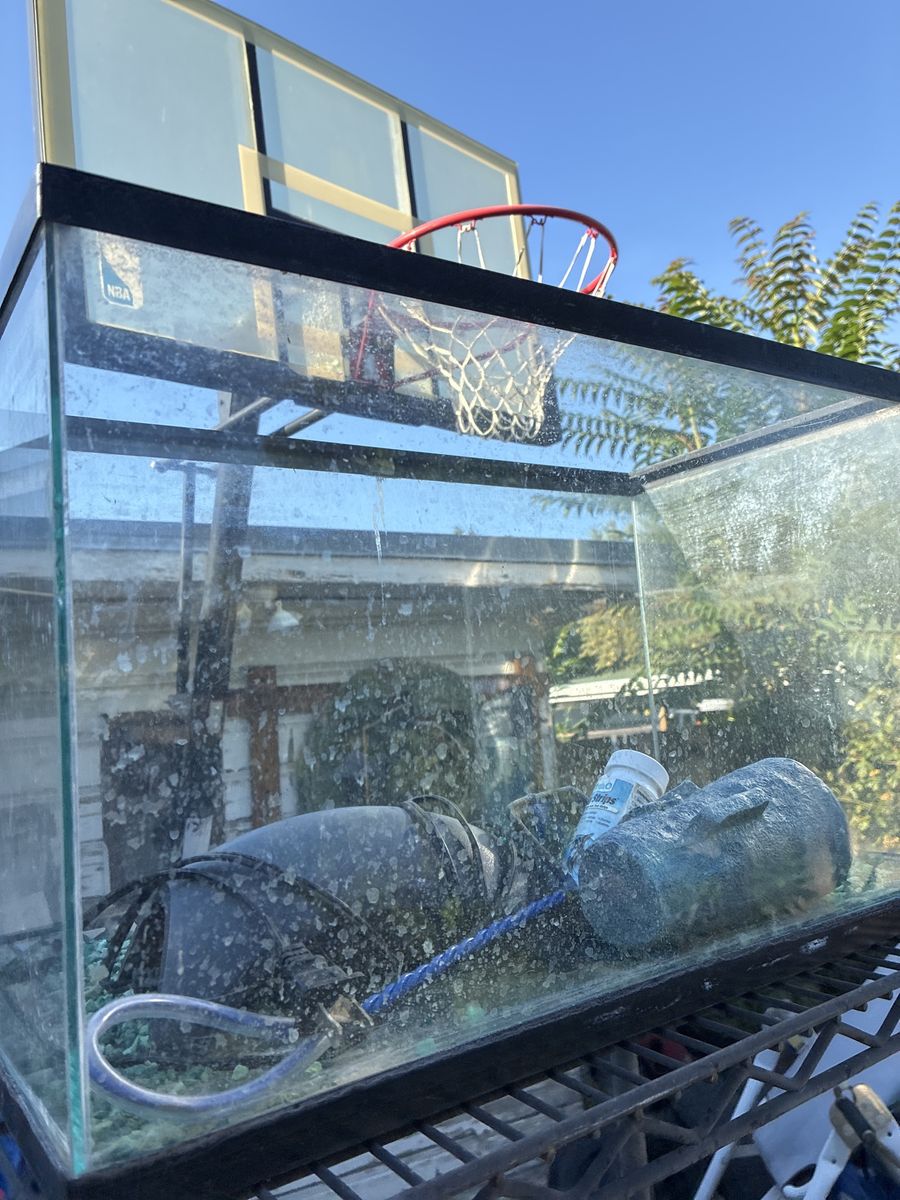 Fish tank