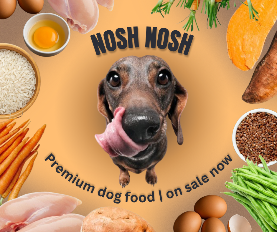 Premium Dog Food