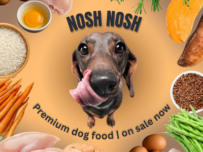 Premium Dog Food