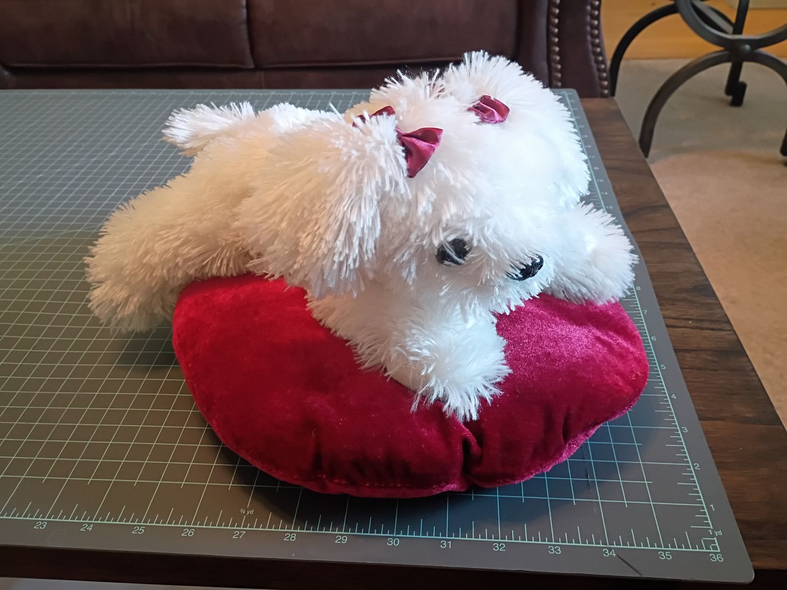 GSD : little white pup on pillow