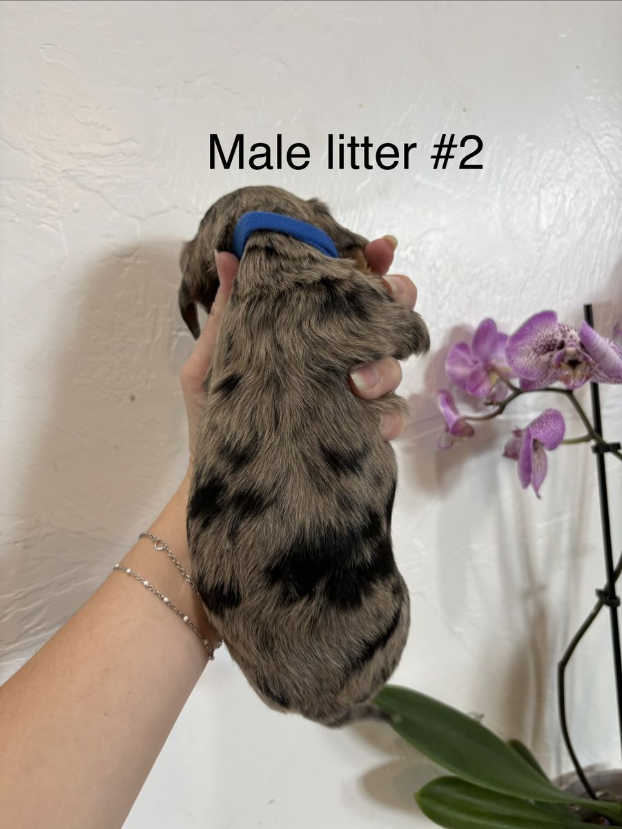 Main image 40