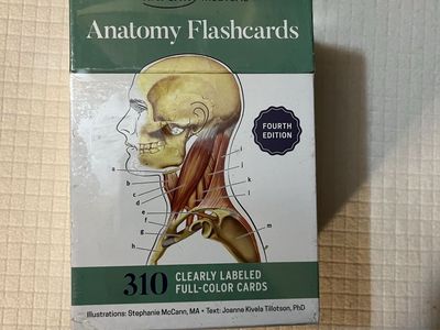 Anatomy Flashcards