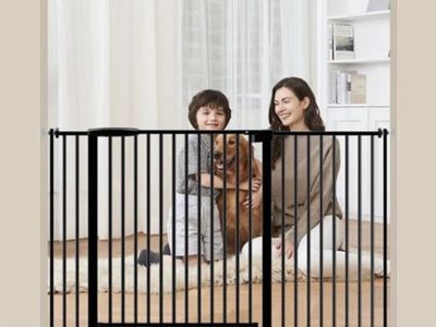 Baby Gate