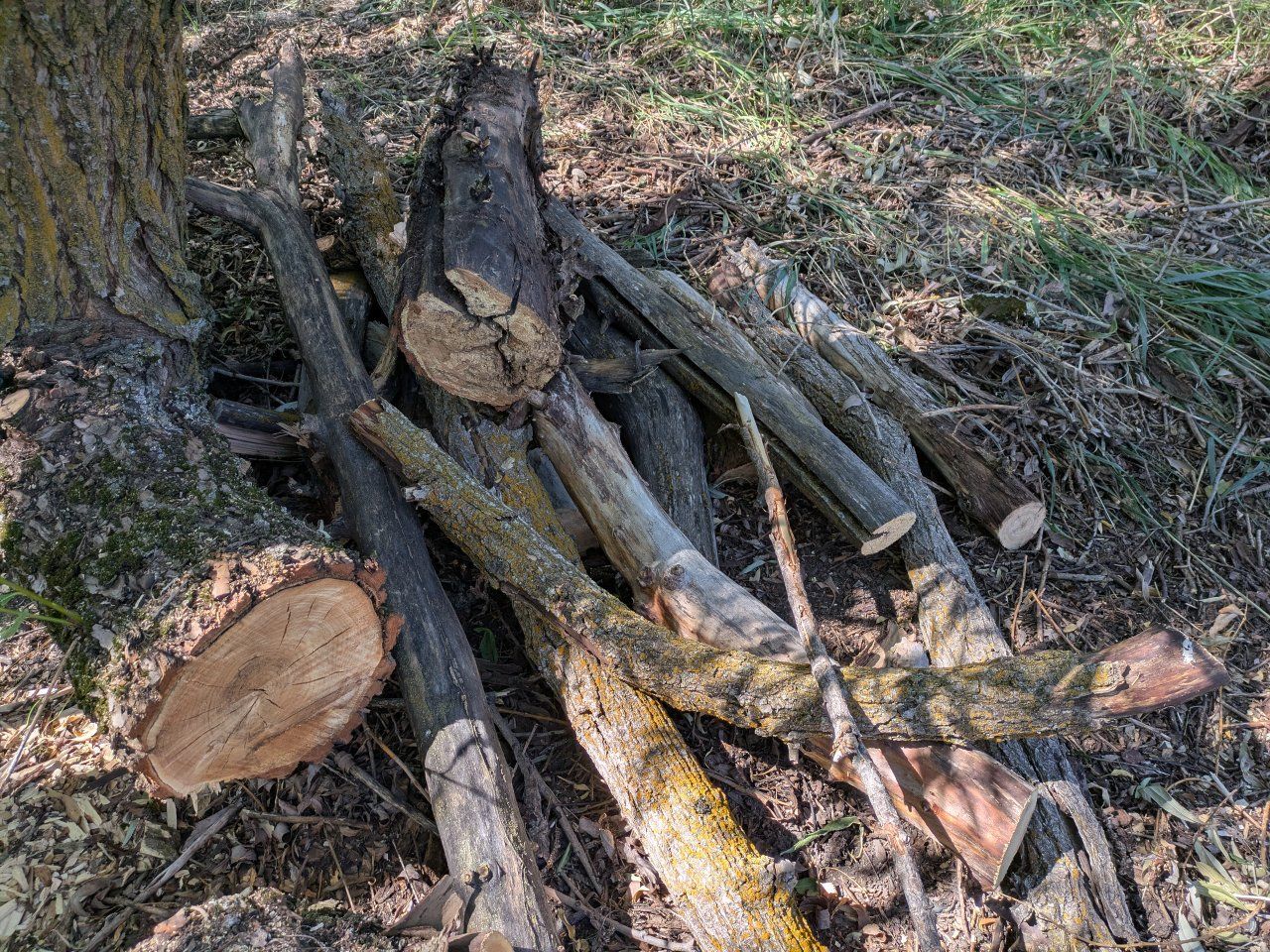 Main image 4
