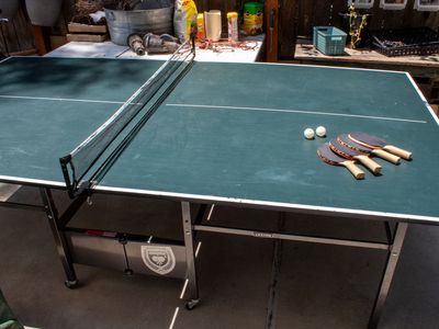 Ping Pong Table