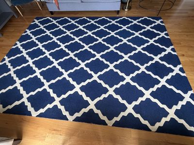 Large Blue and White Rug