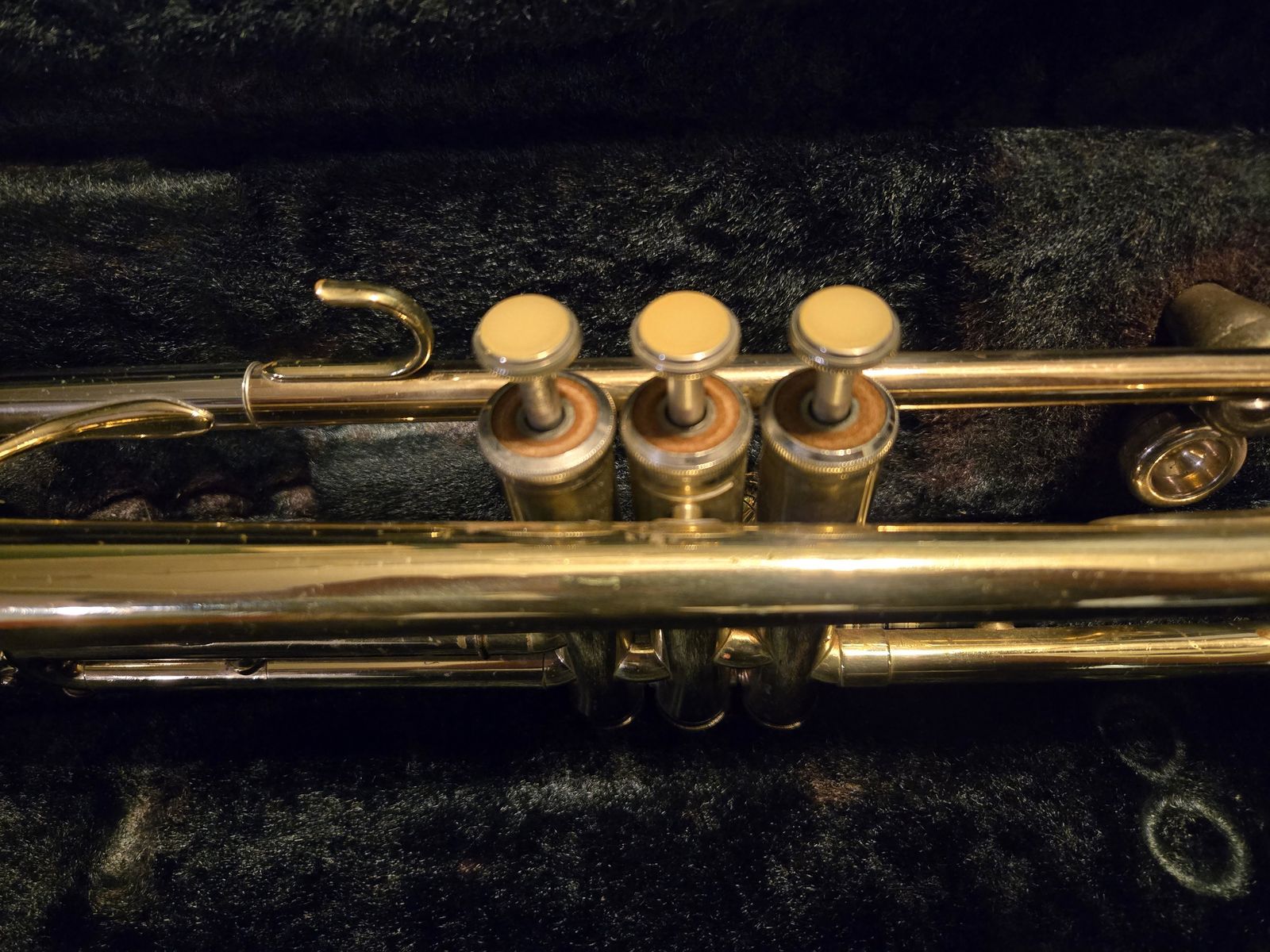 Main image 8