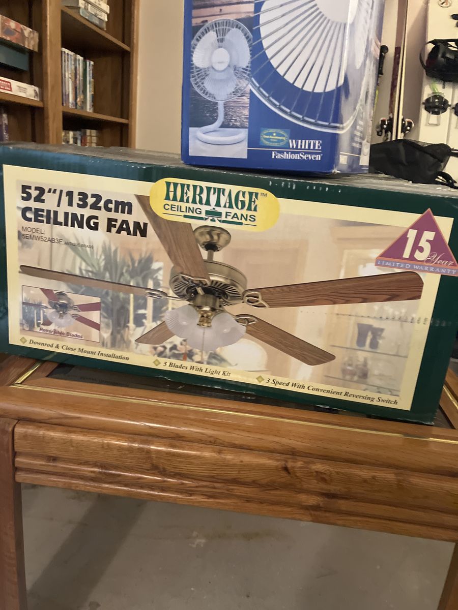 Ceiling Fan (two of Them)
