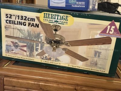 Ceiling Fan (two of Them)