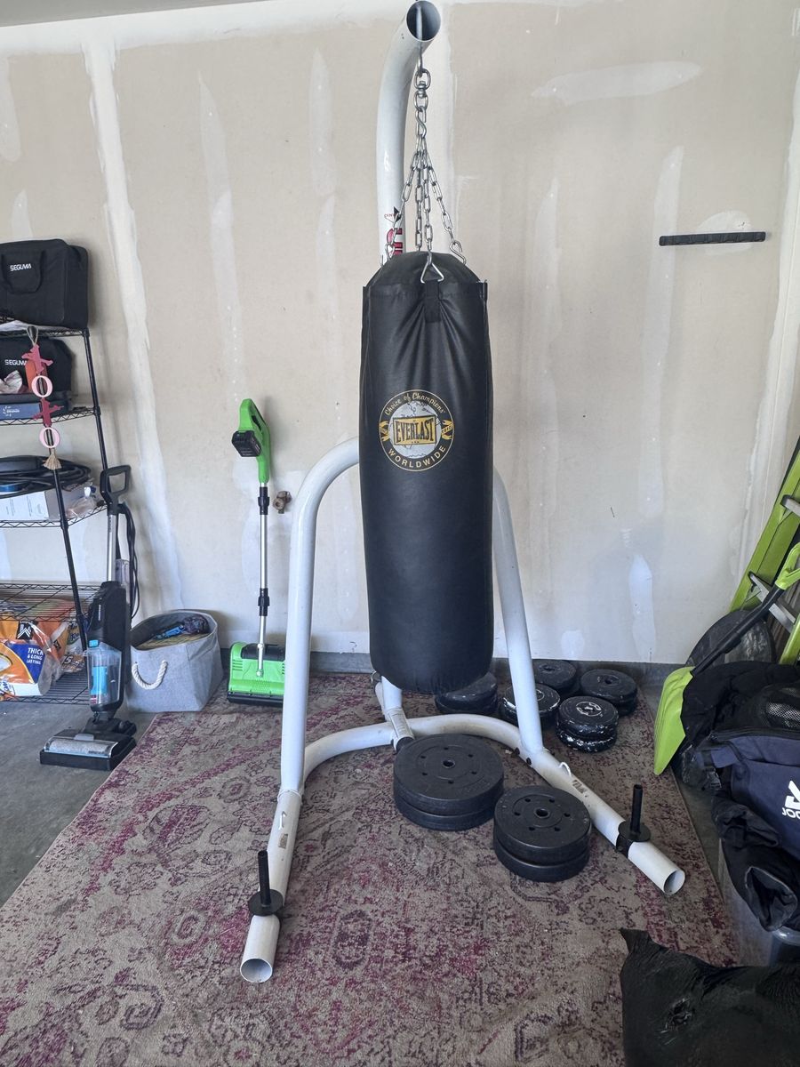 Punching bag and weight set - Free Needs to Go