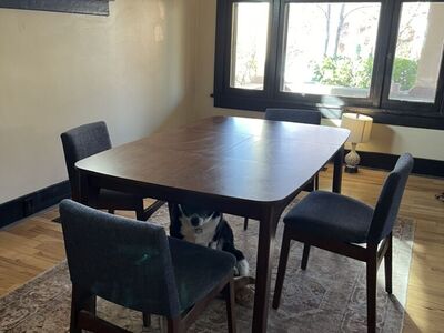 Article Plumas Dining Table & 4 Nosh Chairs