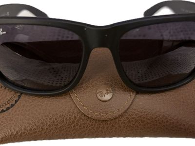 Ray-Ban Justin Black Sunglasses