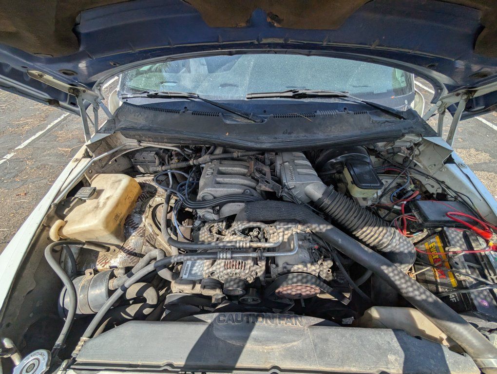 Main image 5