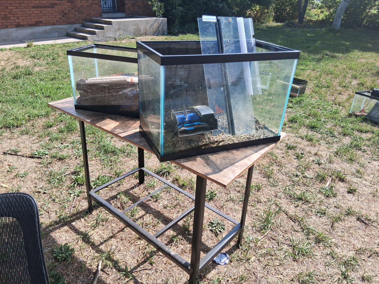 FREE AQUARIUMS.