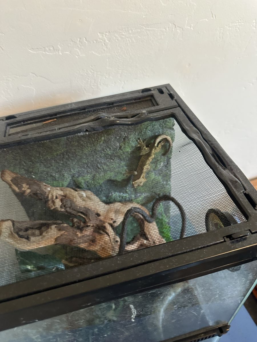 Main image 7